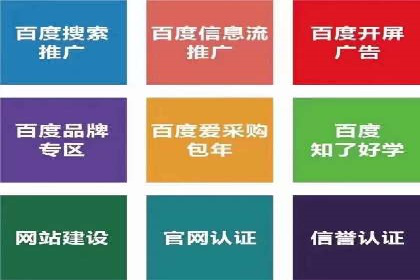百度竞价广告投放全解析：成功案例揭秘